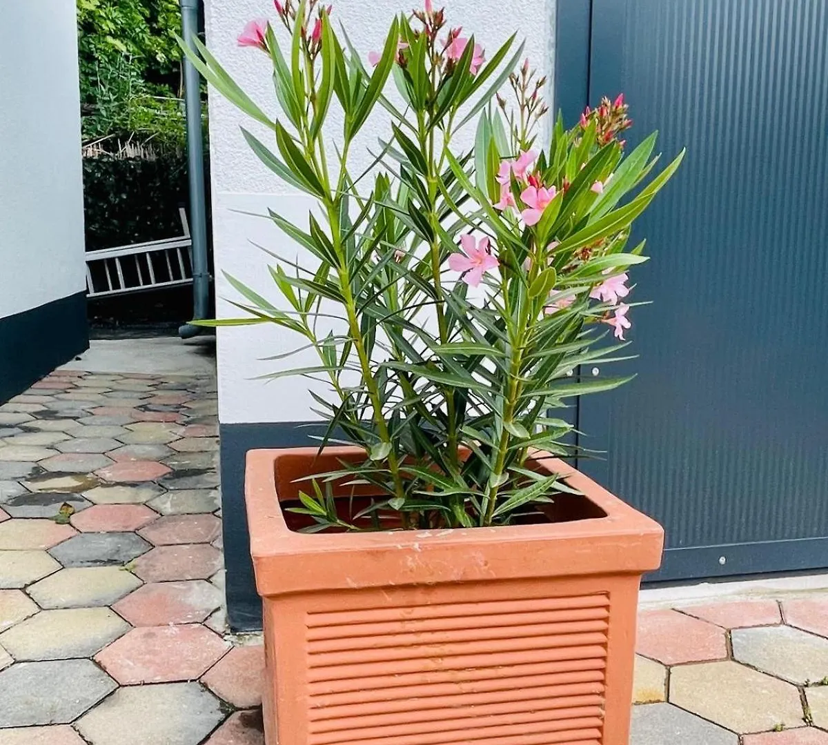 Villa In Vienna In Perfect Situaton Near Vic And Donau Park With Pool And Private Garden Sleeps 4 With 2 Bedrooms, Kitchen And Livingroom And Bath And Private Parking